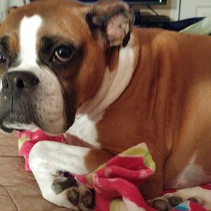 Meet your Posher, Laura